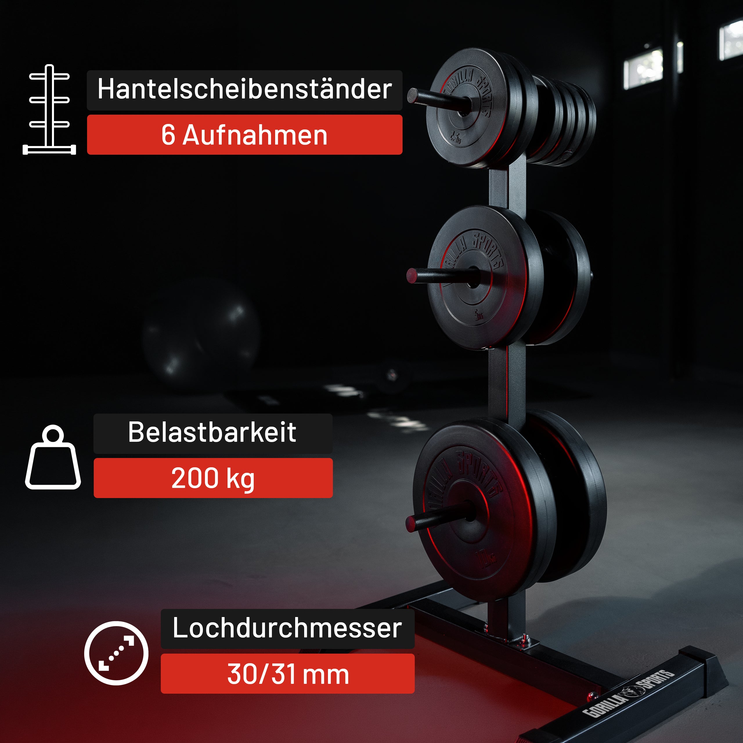 gorilla-sports-hantelscheibenst-nder-mit-3-stangen-6-aufnahmen-bis-200-kg image 7
