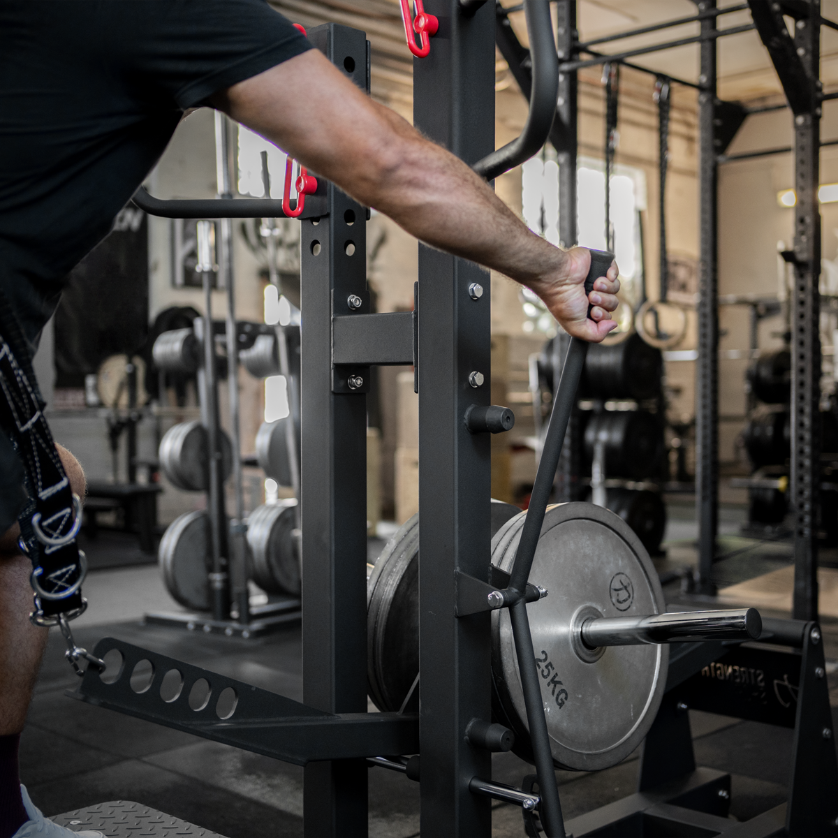 strength-shop-riot-belt-squat-machine-inkl-beugegurt-karabiner image 6