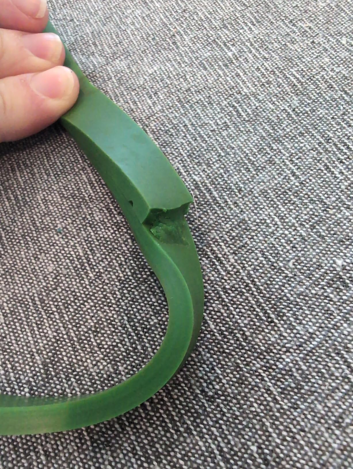 Gut für Home Workout