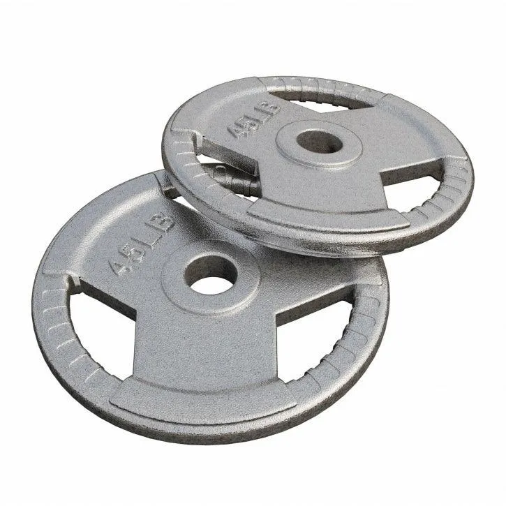 gorilla-sports-hantelscheibe-gusseisen-gripper-silber-2-2-5-45-lb-1-1-20-4-kg image 1