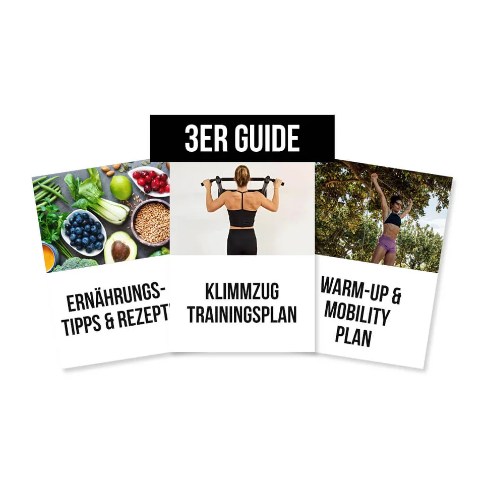 pullup-dip-guide-bundle-3-guides-trainingsplan-pdf image 1