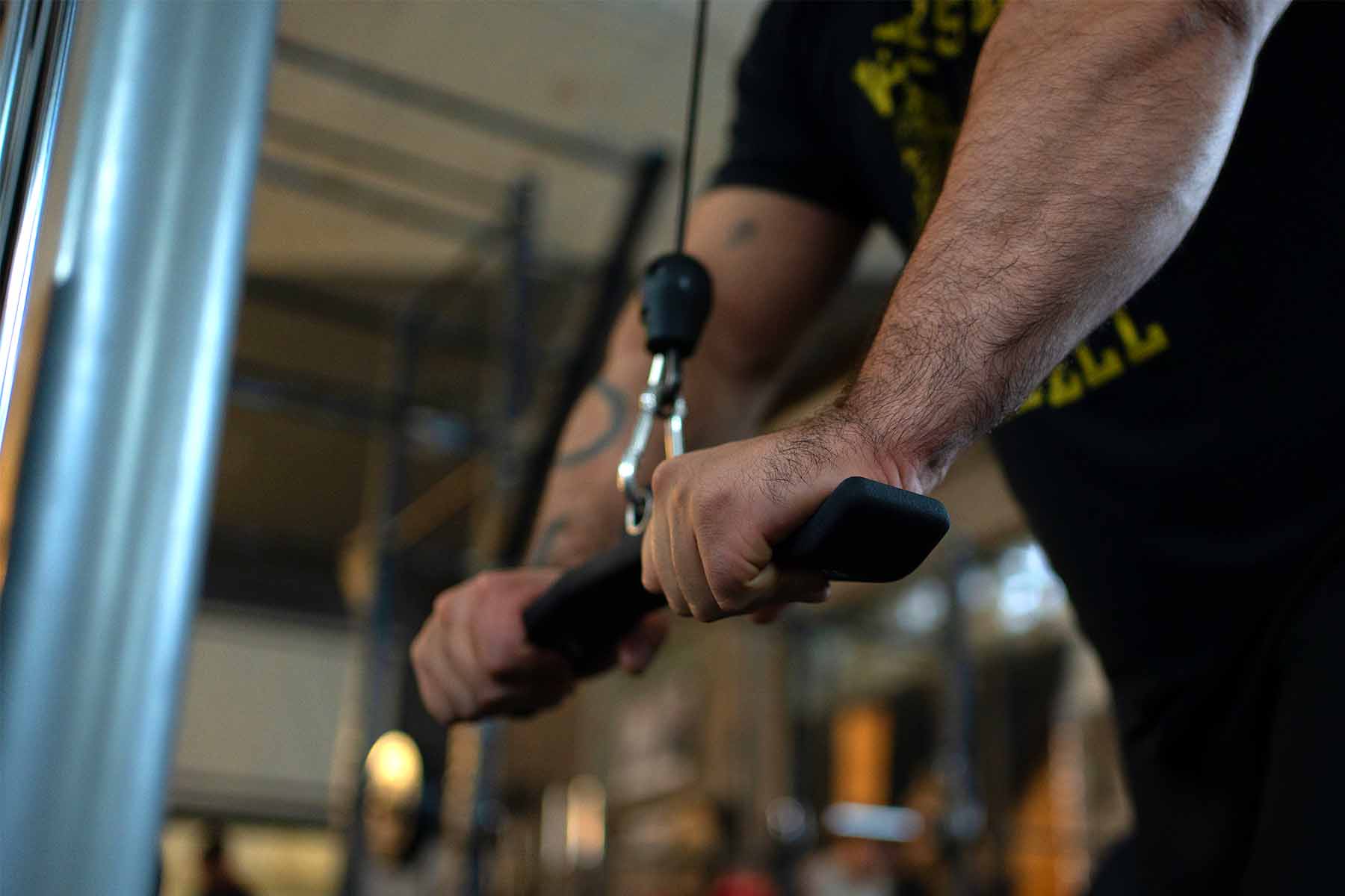 strength-shop-tricepatops-flacher-trizepsgriff-trizepsstange image 3