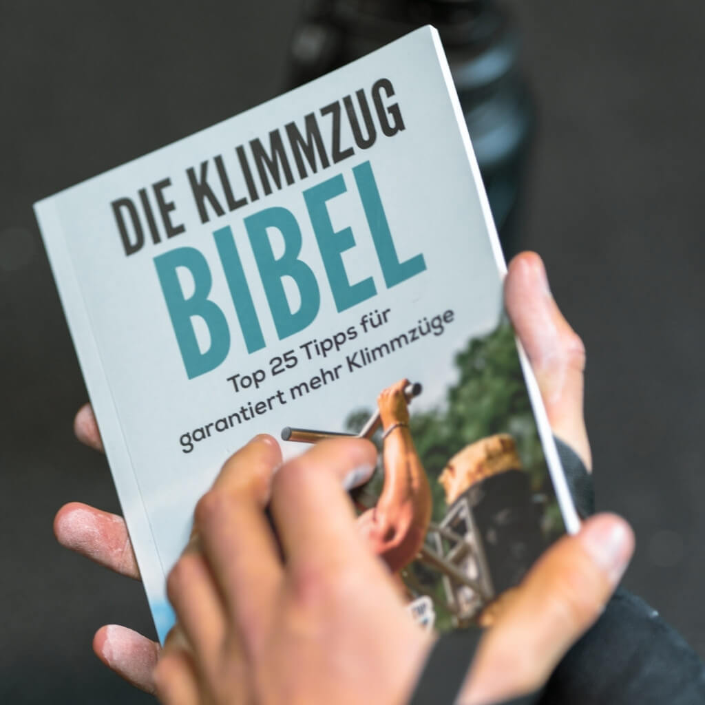 pullup-dip-die-klimmzug-bibel-hardcopy-buch-deutsch image 4