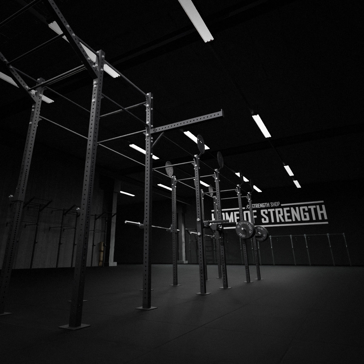 strength-shop-riot-rig-mrr-outrigger-berhangstrebe-f-r-75x75-mm-rig image 4