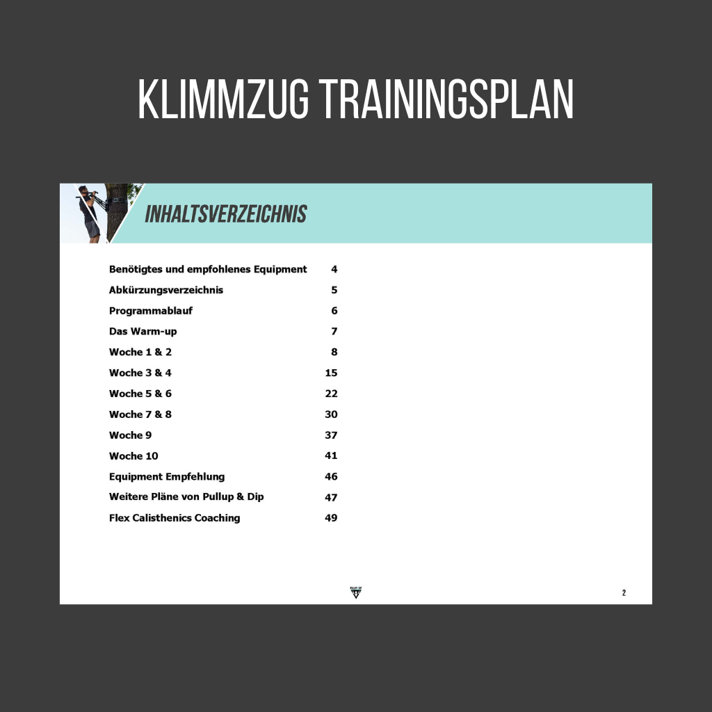 pullup-dip-ultimate-calisthenics-guide-bundle-4-guides-pdfs image 2