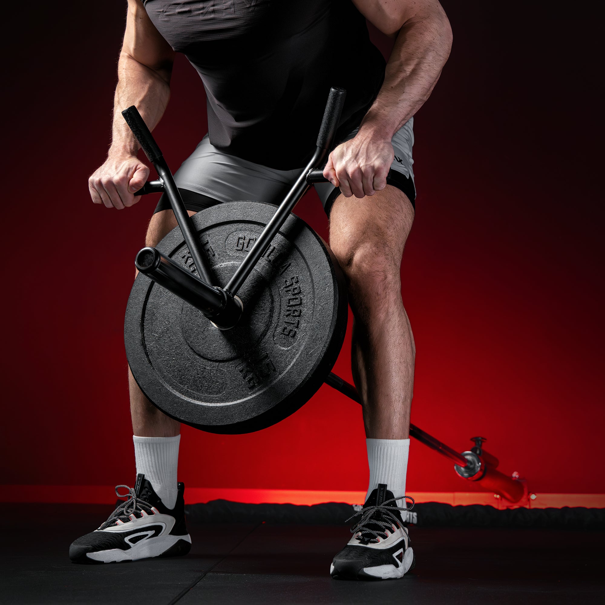 gorilla-sports-t-bar-row-rudergriff-latzug-griff-bis-250-kg image 2