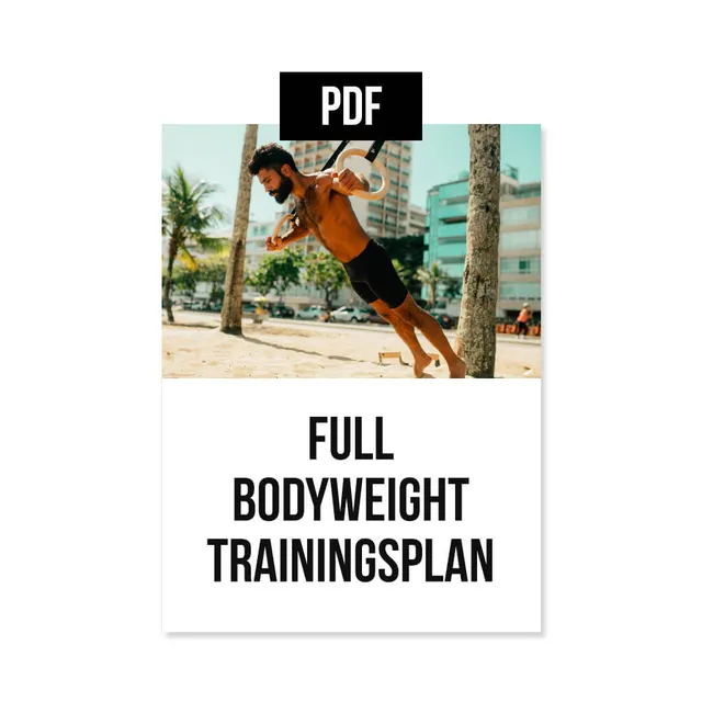 pullup-dip-ganzk-rper-bodyweight-trainingsplan-pdf-10-wochen image 1