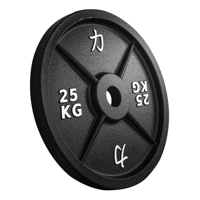 strength-shop-riot-gusseisenscheiben-50mm-bohrung image 1