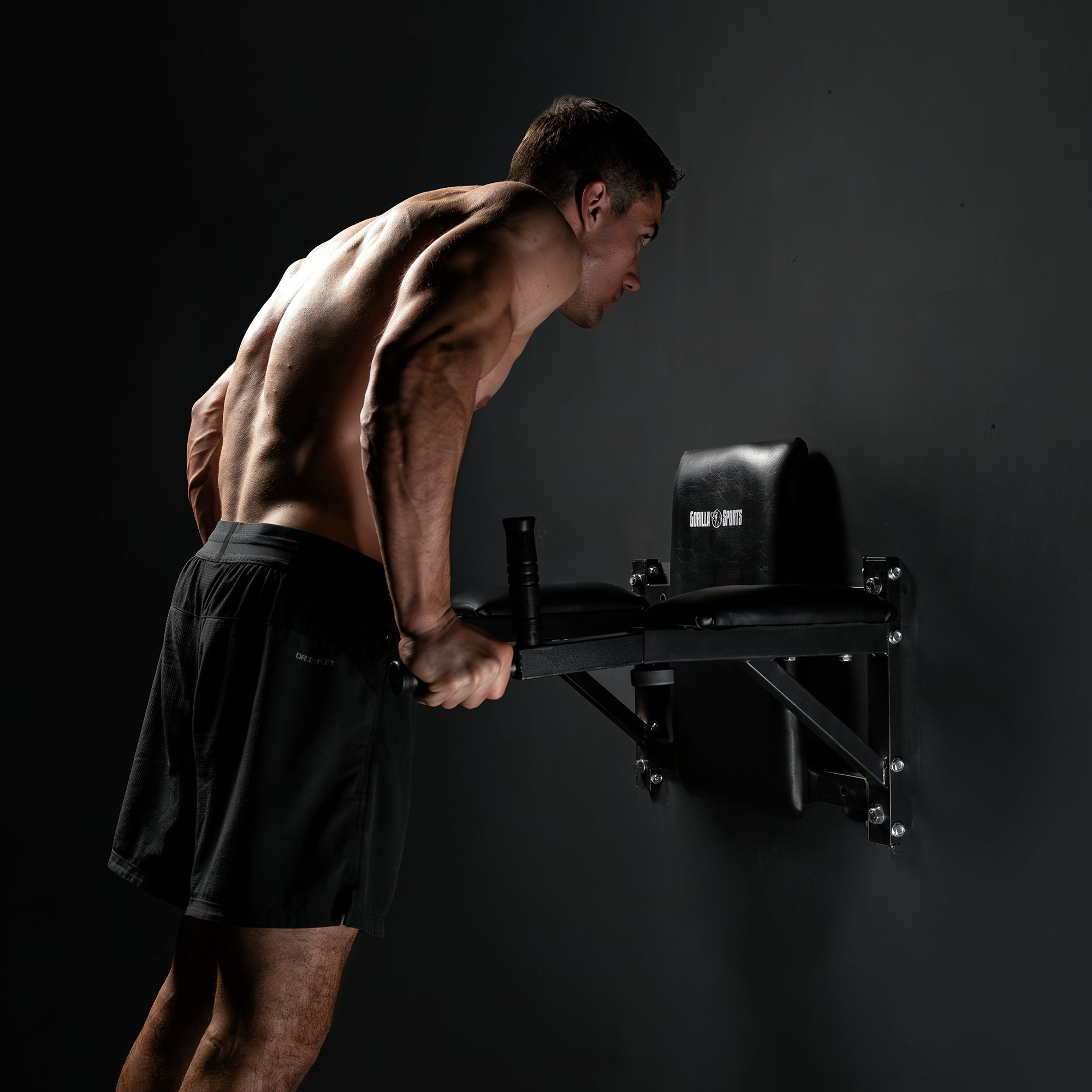 gorilla-sports-dip-station-mit-r-ckenpolster-zur-wandmontage image 2