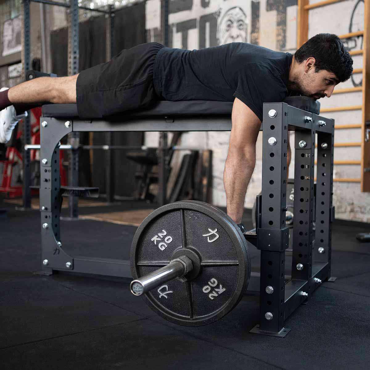 strength-shop-riot-ruder-zug-bank-seal-row-verstellbar image 2