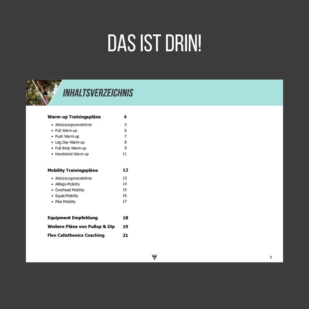 pullup-dip-warm-up-mobility-plan-pdf-download image 2