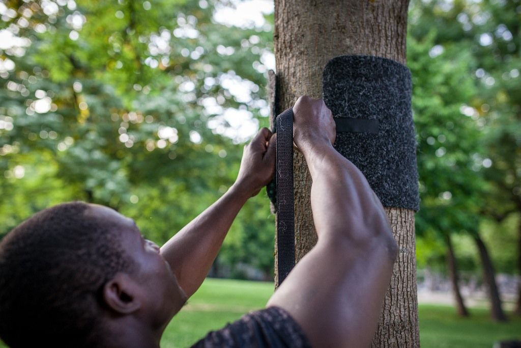 pullup-dip-outdoor-befestigungsset-f-r-klimmzug-und-dip-stange-an-baum-pfosten image 7
