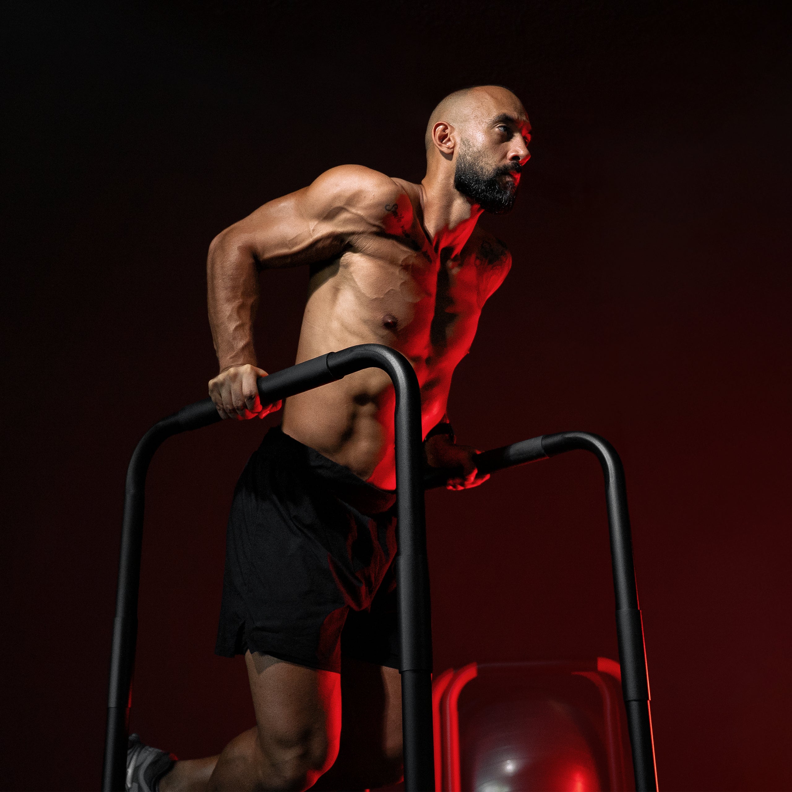 gorilla-sports-push-up-stand-dip-barren-schwarz-rot-blau-66-cm image 2