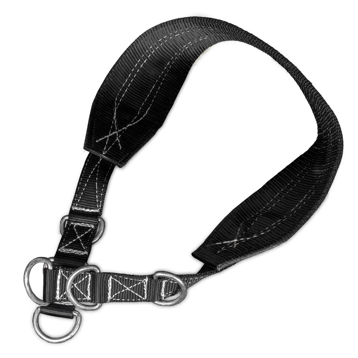 strength-shop-v2-g-rtel-f-r-belt-squat-maschine-dip-g-rtel image 3