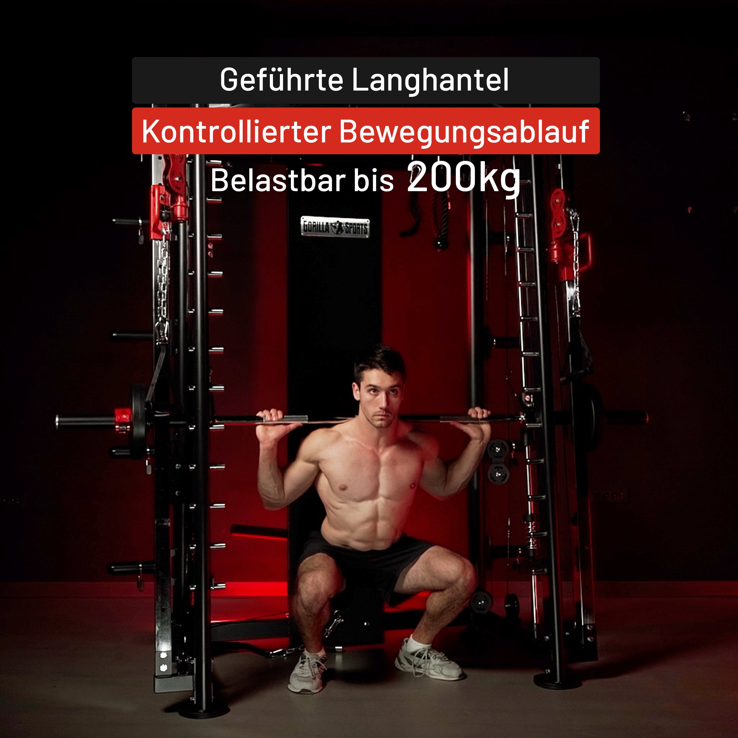 gorilla-sports-smith-machine-multipresse-mit-klimmzugstange-dipgriffen-und-kabel image 3