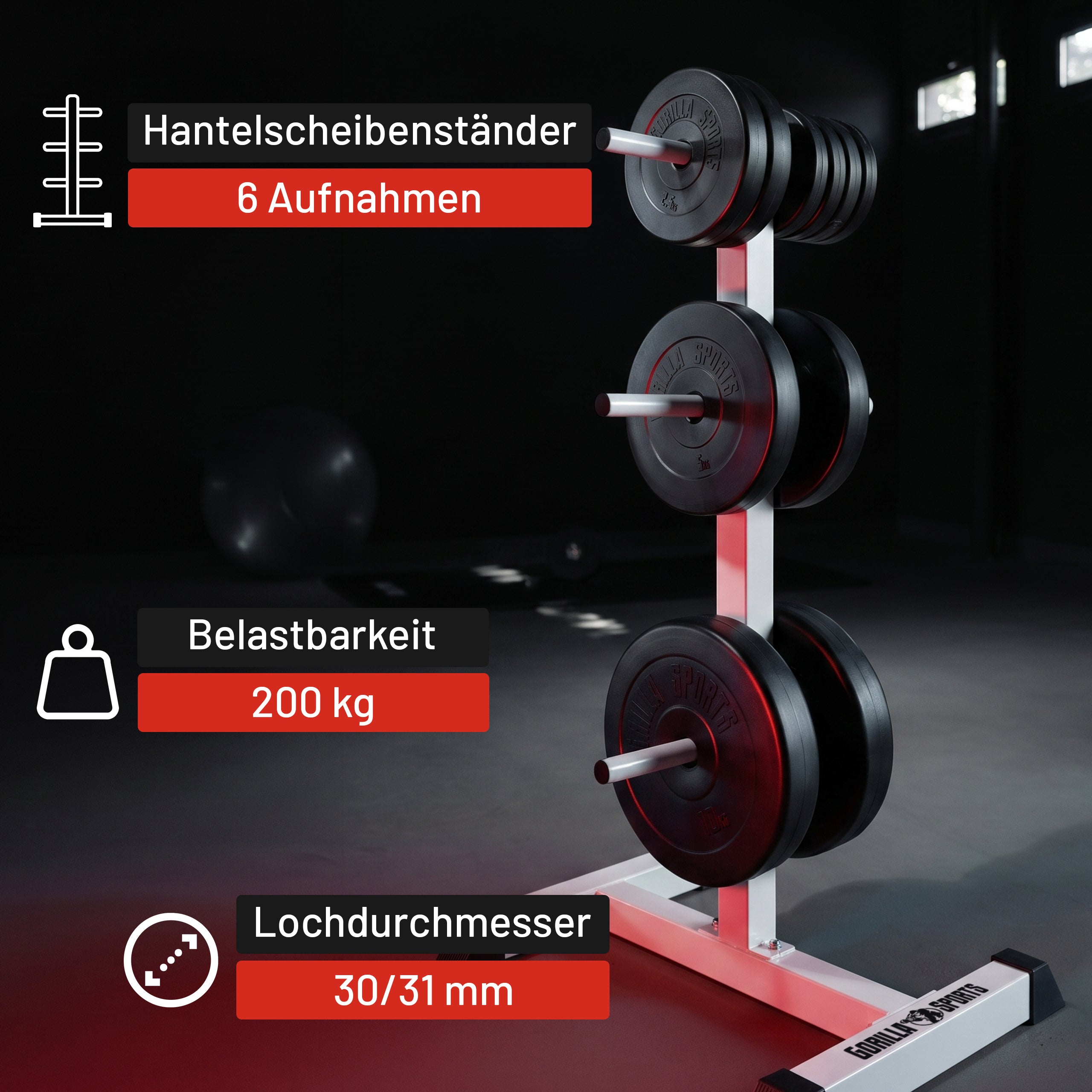 gorilla-sports-hantelscheibenst-nder-mit-3-stangen-6-aufnahmen-bis-200-kg image 6