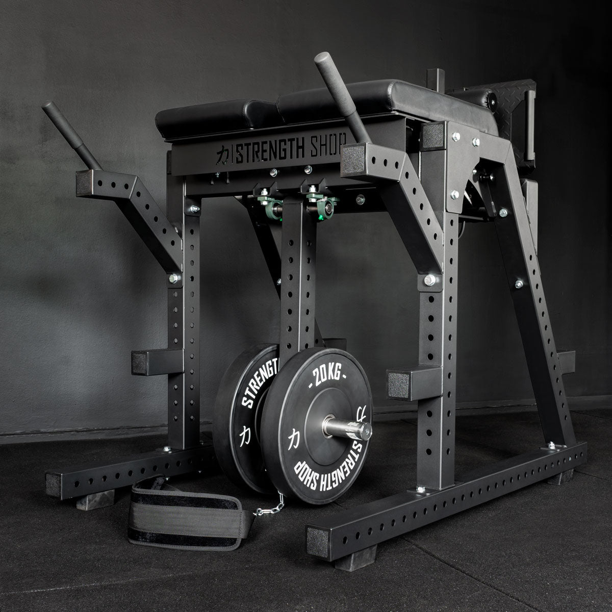strength-shop-reverse-hyper-ghd-kombiger-t image 3
