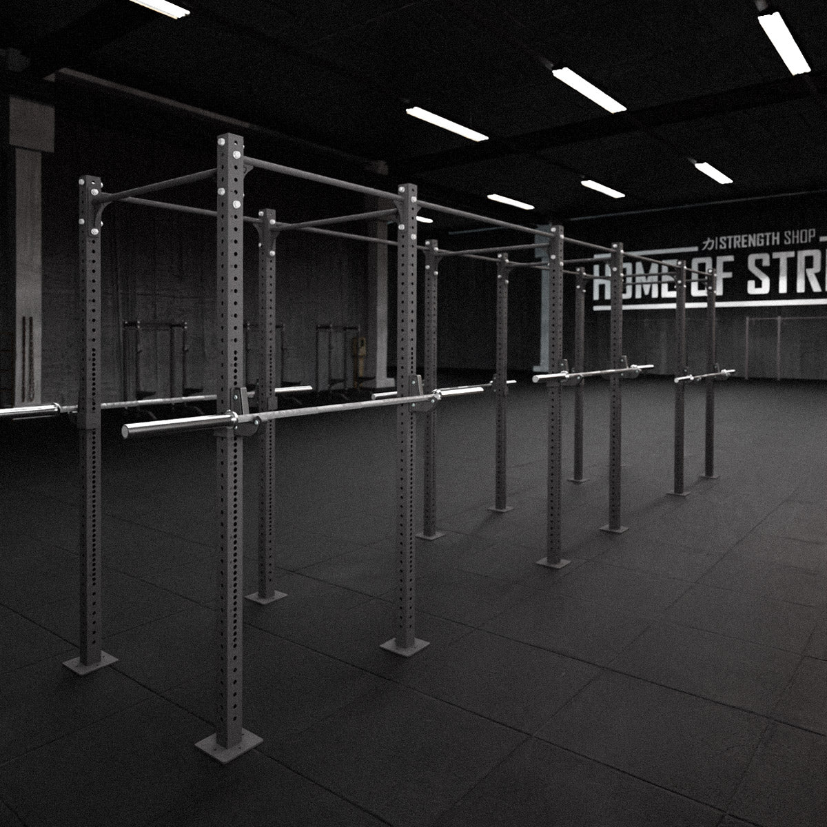 strength-shop-riot-rig-mrr-freistehend-single-cube image 6