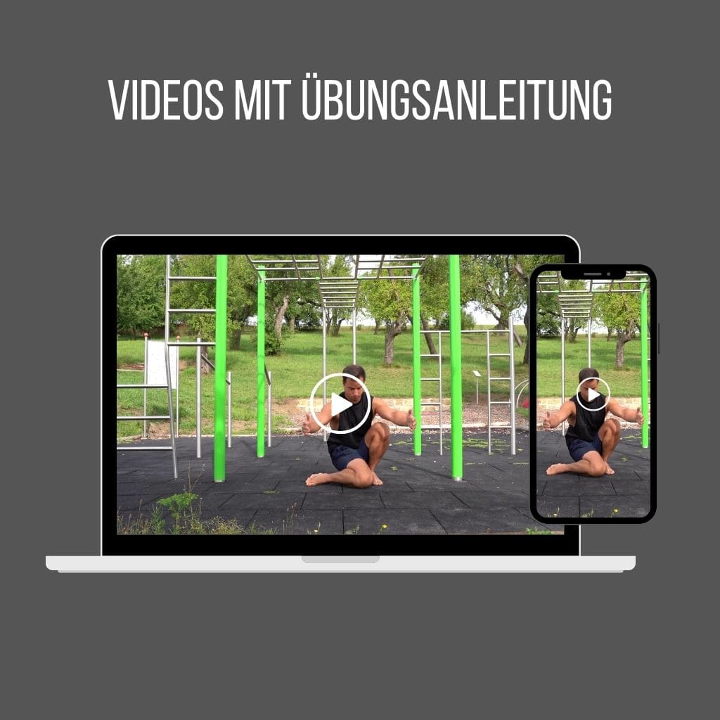 pullup-dip-warm-up-mobility-plan-pdf-download image 4