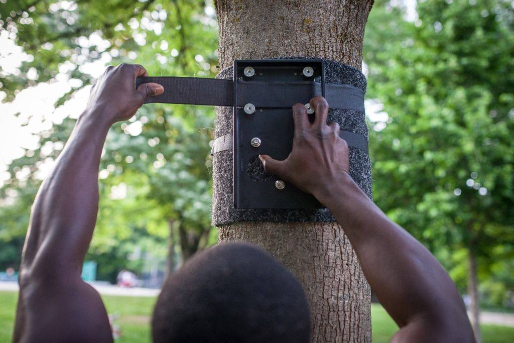 pullup-dip-outdoor-befestigungsset-f-r-klimmzug-und-dip-stange-an-baum-pfosten image 8