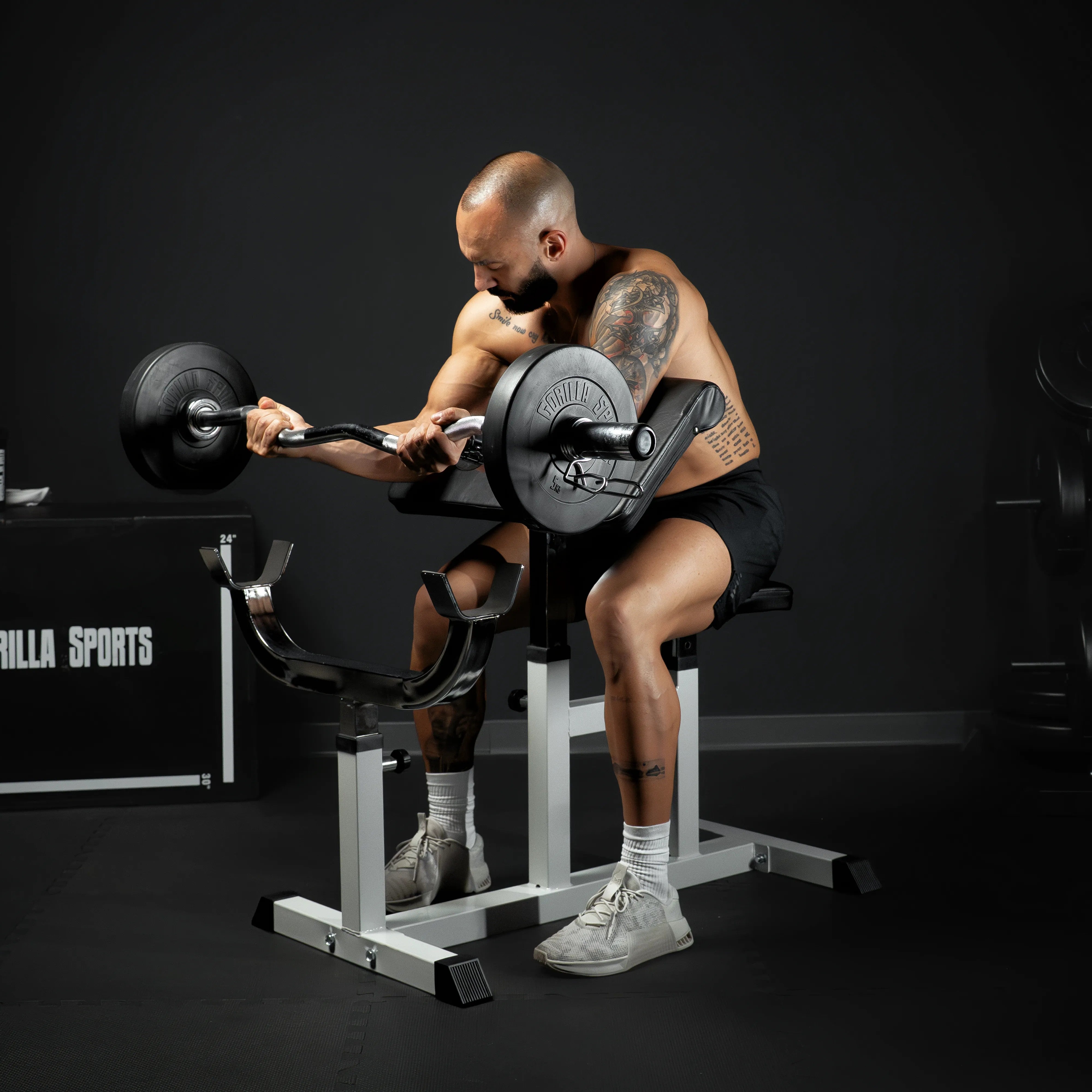 gorilla-sports-curlbank-verstellbar-scottbank-curlpult image 2