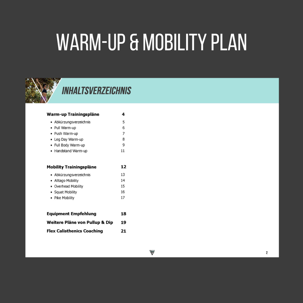 pullup-dip-ultimate-calisthenics-guide-bundle-4-guides-pdfs image 3