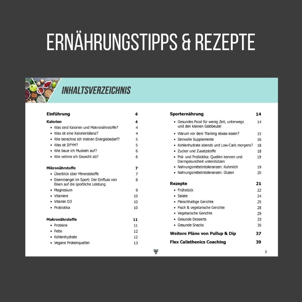 pullup-dip-guide-bundle-3-guides-trainingsplan-pdf image 4