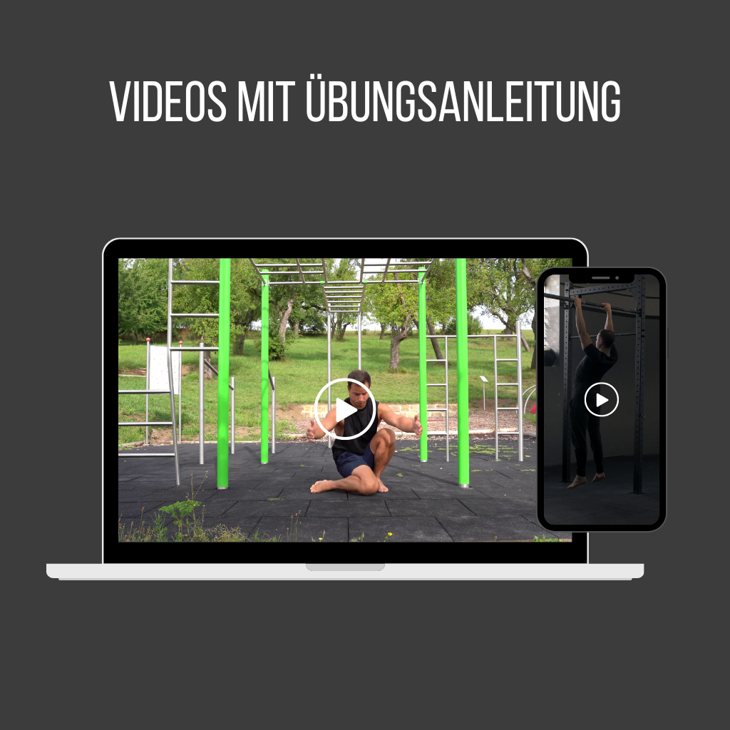 pullup-dip-ultimate-calisthenics-guide-bundle-4-guides-pdfs image 6
